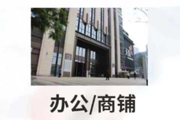 阿里地区普兰商铺抵押